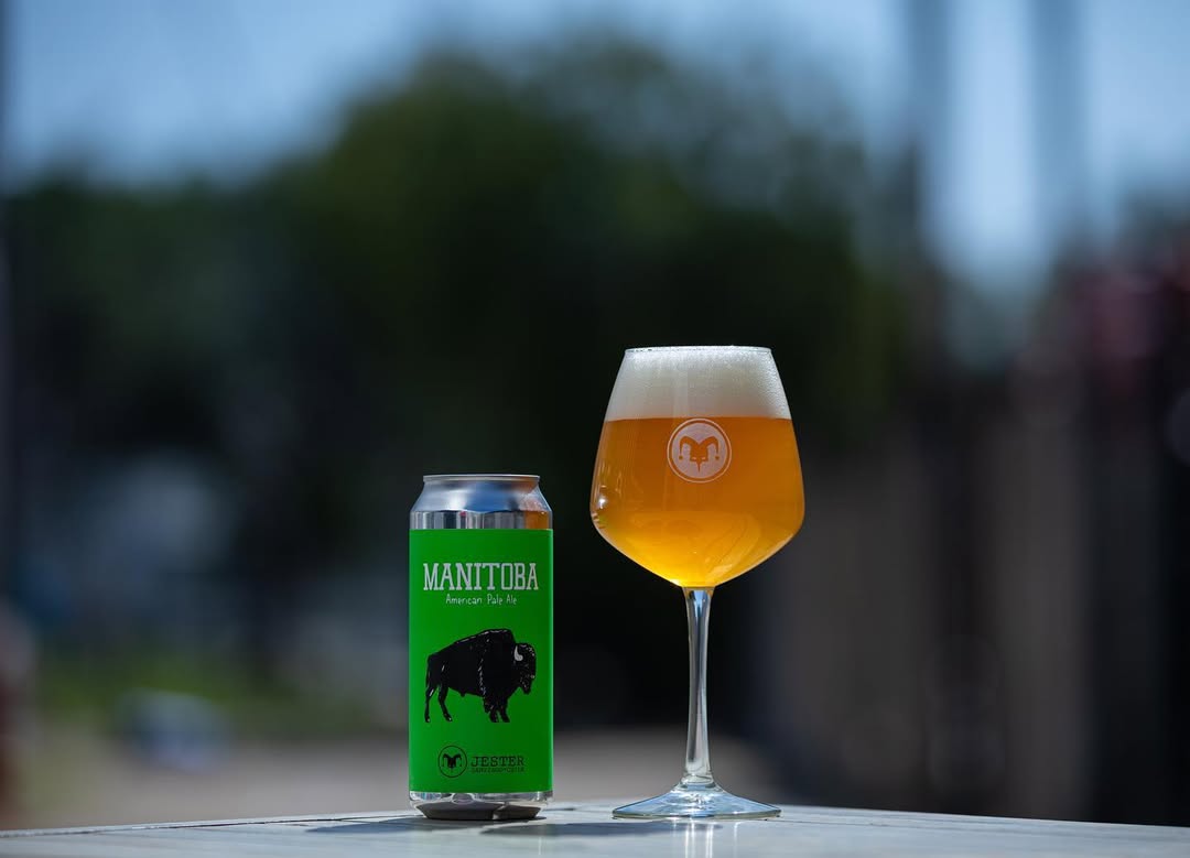 CERVEZA JESTER MANITOBA 473CC