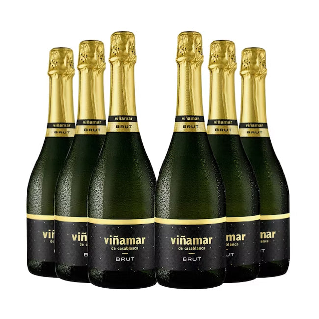 6 VIÑAMAR BRUT 750CC - Bar Abierto